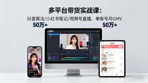 多平台带货实战课18.0：抖音算法/小红书笔记/视频号直播，单账号月GMV50w+-翻身站