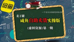 麦子甜咸鱼自助卖货实操版(虚拟资源)一个会自动搞钱的机器-翻身站