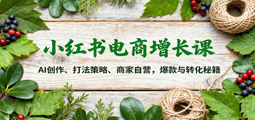 小红书电商增长课：AI创作、打法策略、商家自营，爆款与转化秘籍-翻身站