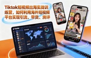 Tiktok短视频出海实战训练营，如何利用海外短视频平台实现引流、带货、测评-翻身站