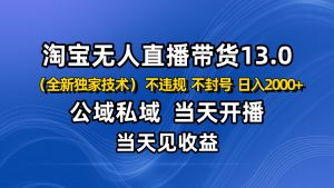 淘宝无人直播13.0,公域私域技术,不封号,不违规 布局下半年旺季赛道,日入2000+-翻身站