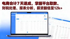 电商会计7天速成，掌握平台取数、财税处理、报表分析，薪资翻倍至12k+-翻身站