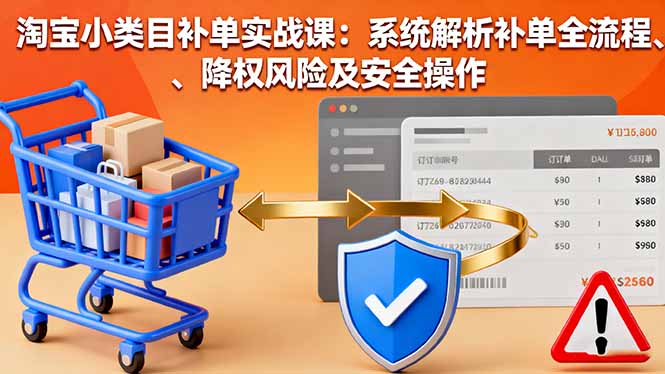 淘宝小类目补单实战课：系统解析补单全流程、降权风险及安全操作-翻身站