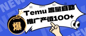 专注于Temu商家提供精准曝光浏览量，助力店铺排名提升和转化，单机日收入80-130【揭秘】-翻身站