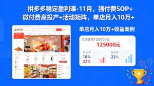 拼多多稳定盈利课-11月，强付费SOP+微付费高投产+活动矩阵，单店月入10w+-翻身站