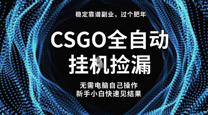 【稳定副业】全球最热门游戏CSGO全自动捡漏，最新玩法，新手小白日入5张+【揭秘】-翻身站