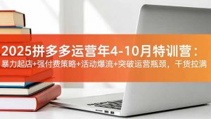 2025拼多多运营年4-10月特训营：暴力起店+强付费策略+活动爆流+突破运营瓶颈，干货拉满-翻身站