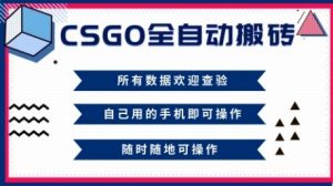 CSGO全自动搬砖，年底钱回家好项目，当天可拿到结果，新手小白轻松月入1W+【揭秘】-翻身站