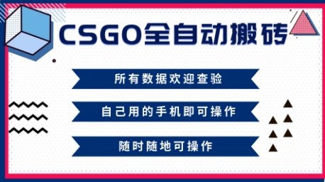 CSGO全自动搬砖，年底钱回家好项目，当天可拿到结果，新手小白轻松月入1W+【揭秘】-翻身站