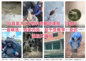 抖音某大V万物科普解说课程，可进抖音精选，独家内容，超干货教学，助你涨粉又賺钱-翻身站
