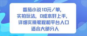 番茄小说10米每单，实拍玩法，0成本好上手，详细实操教程和平台入口适合大部分人-翻身站