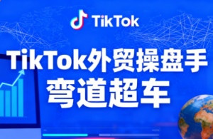 TikTok外贸操盘手(更新11月)-翻身站