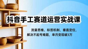 抖音手工赛道运营实战课，流量思维、标签机制、垂直定位，解决不起号难题，单月变现破3万-翻身站