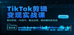TikTok剪辑变现实战课：素材获取，PR技巧，搬运运营，解锁赚钱新技能-翻身站