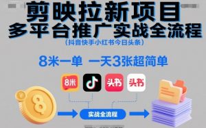 剪映拉新项目多平台推广实战全流程(抖音快手小红书今日头条)，8米一单，一天3张超简单-翻身站