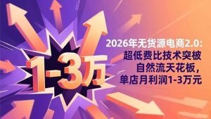 2026年无货源电商2.0【更新】：超低费比技术突破自然流天花板，单店月利润1-3万元-翻身站