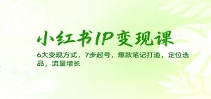 小红书IP变现课:6大变现方式,7步起号,爆款笔记打造,定位选品,流量增长-翻身站