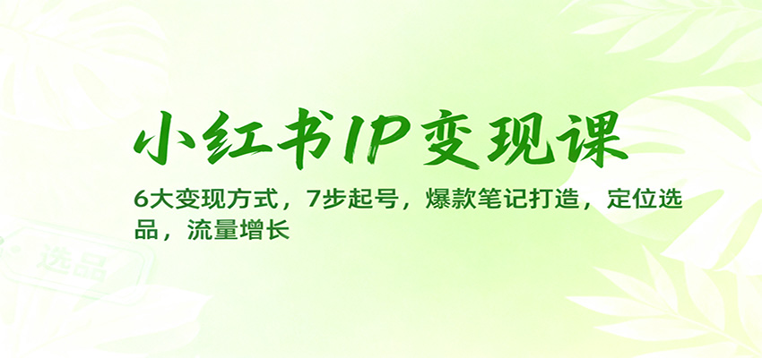 小红书IP变现课：6大变现方式，7步起号，爆款笔记打造，定位选品，流量增长-翻身站