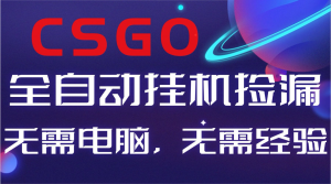 【副业好项目】全球火爆游戏CSGO自动捡漏，新手小白日入500+-翻身站