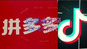 老陶电商·拼多多+抖音小店无货源开店(更新11月)-翻身站