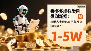 拼多多虚拟类目盈利新招：机器人全程包办回复发货，轻松月入 1-5W-翻身站