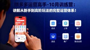 拼多多运营高手-10月训练营：讲解从新手到高阶玩法的完整运营体系！-翻身站