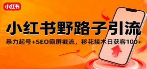 小红书野路子引流,暴力起号+SEO霸屏截流,移花接木日获客100+-翻身站