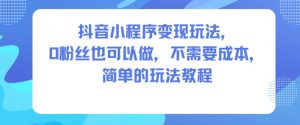 抖音小程序变现玩法，0粉丝也可以做，不需要成本，简单的玩法教程-翻身站