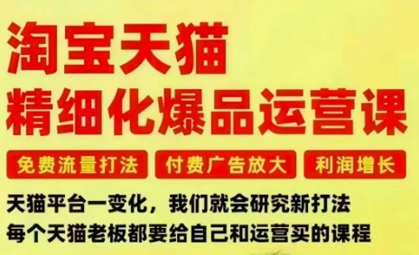 淘宝天猫精细化爆品运营课，免费流量打法-付费广告放大-利润增长-三大核心痛点，一次全部解决-翻身站