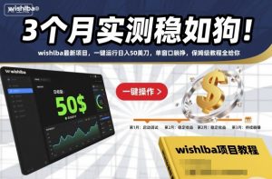 3个月实测稳如狗！wishlba最新项目，一键运行日入50美刀，单窗口躺挣，保姆级教程全给你【揭秘】-翻身站