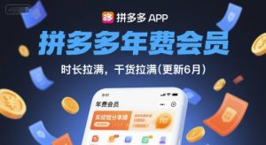 拼多多年费会员，实经验分享操，时长拉满，干货拉满(更新11月)-翻身站