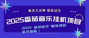 2025最新挂机番茄音乐项目，每天几分钟，日入1000＋-翻身站