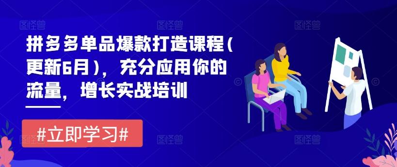 拼多多单品爆款打造课程(更新6月)，充分应用你的流量，增长实战培训-翻身站