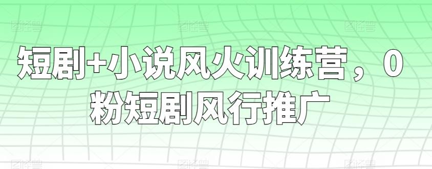 短剧+小说风火训练营，0粉短剧风行推广-翻身站