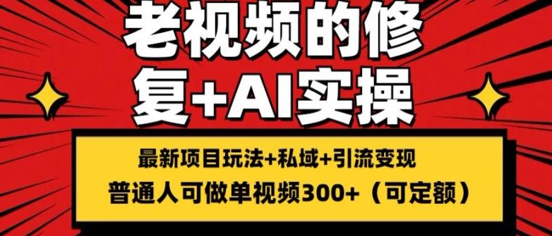 修复老视频的玩法，搬砖+引流的变现(可持久)，单条收益300+【揭秘】-翻身站