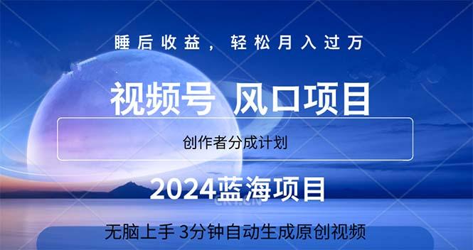 2024蓝海项目，3分钟自动生成视频，月入过万-翻身站