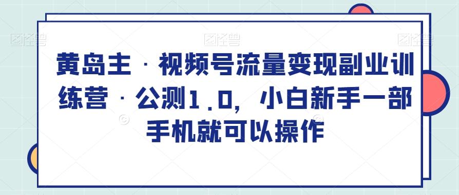 黄岛主·视频号流量变现副业训练营·公测1.0，小白新手一部手机就可以操作-翻身站