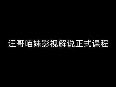 汪哥影视解说正式课程：剪映/PR教学/视解说剪辑5大黄金法则/全流程剪辑7把利器等等-翻身站