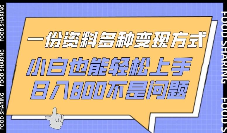 一份资料多种变现方式，小白也能轻松上手，日入800不是问题【揭秘】-翻身站