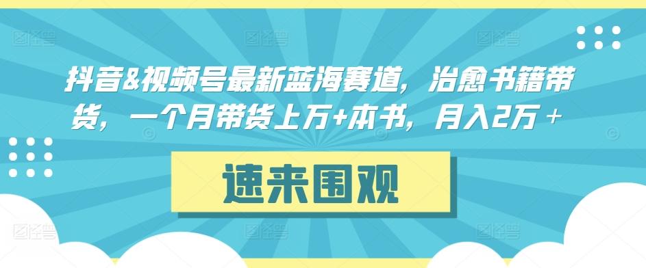 抖音&视频号最新蓝海赛道，治愈书籍带货，一个月带货上万+本书，月入2万＋【揭秘】-翻身站