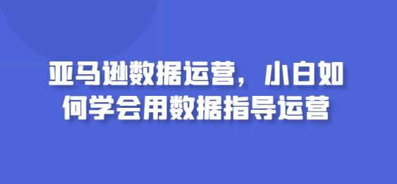 亚马逊数据运营，小白如何学会用数据指导运营-翻身站