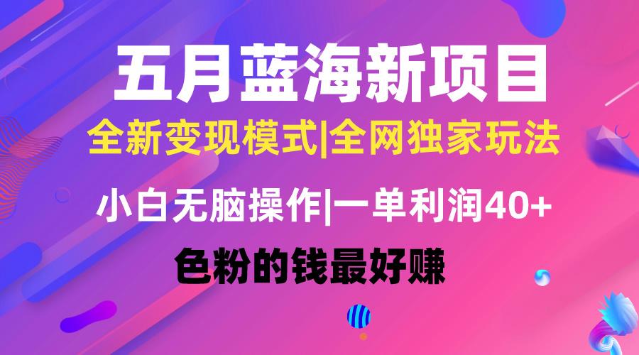 五月蓝海项目全新玩法，小白无脑操作，一天几分钟，矩阵操作，月入4万+-翻身站