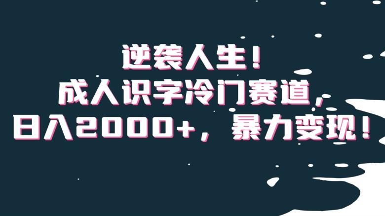 逆袭人生！成人识字冷门赛道，日入2000+，暴力变现！【揭秘】-翻身站
