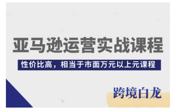 亚马逊运营实战课程，亚马逊从入门到精通，性价比高，相当于市面万元以上元课程-翻身站