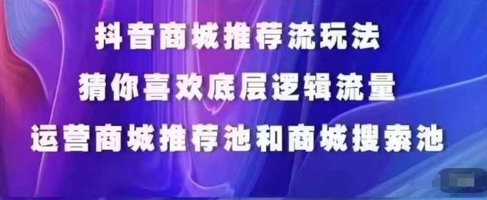 抖音商城运营课程，猜你喜欢入池商城搜索商城推荐人群标签覆盖-翻身站