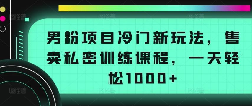 男粉项目冷门新玩法，售卖私密训练课程，一天轻松1000+【揭秘】-翻身站