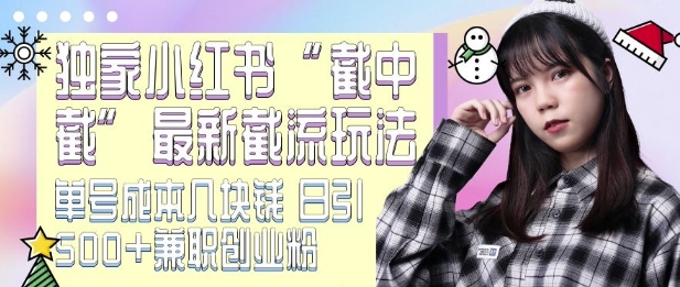 最新小红书截流玩法 独家截中截 单号成本几块钱 日引500+CY粉JZ粉-翻身站