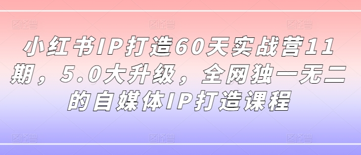 小红书IP打造60天实战营11期，5.0大升级，全网独一无二的自媒体IP打造课程-翻身站