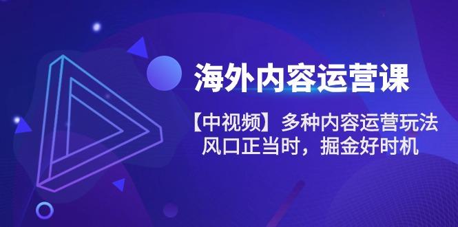 海外内容 运营课【中视频】多种内容运营玩法 风口正当时 掘金好时机-101节-翻身站