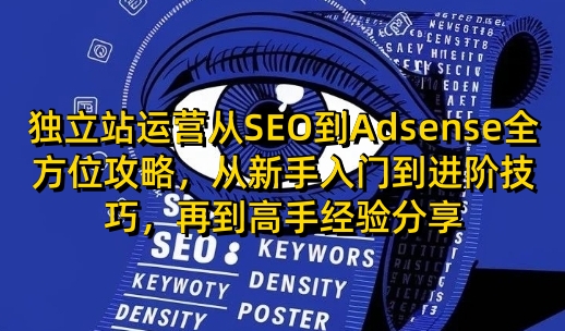 独立站运营从SEO到Adsense全方位攻略，从新手入门到进阶技巧，再到高手经验分享-翻身站
